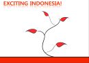인도네시아 환경인도네시아 경제적 환경인도네시아 경제동향인도네시아 유망산업 및 진출전략인도네시아 사회적 환경 1페이지