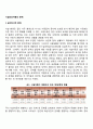 시설보호아동의 문제점 2페이지