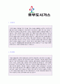 (2019년 중부도시가스 자소서) 중부도시가스 공채 자기소개서 합격예문 [중부도시가스 자소서 자기소개서 샘플중부도시가스자기소개서 지원동기] 2페이지