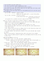 다큐감상문 - 신년 기획 다큐 습관 - 1부 마음의 밧줄을 끊어라 (2010년 1월 2일 방영) - 2부 꼴찌 탈출 습관 변신 보고서(2010년 1월 3일 방영) 4페이지