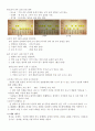 다큐감상문 - 신년 기획 다큐 습관 - 1부 마음의 밧줄을 끊어라 (2010년 1월 2일 방영) - 2부 꼴찌 탈출 습관 변신 보고서(2010년 1월 3일 방영) 5페이지