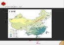 동양문화사 - 중국의 형성 및 기원 민족 자연환경 언어 13페이지