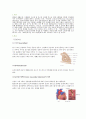 급성심근경색증(Acute myocardial infarction) 케이스 스터디 - 급성심근경색 급성심근경색 케이스 급성심근경색 간호과정 AMI CASE STUDY 2페이지