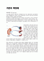 기관지확장제 2페이지
