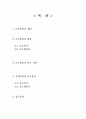 [국어학개론] 보조용언에 관한 전반적인 이해 2페이지
