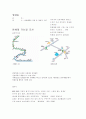 문인생가 답사 보고서 - 윤동주 시비 답사 2페이지