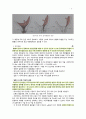 전치태반 간호과정 7페이지