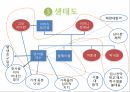 영화 국제시장 가족관계분석(가족복지론 영화줄거리 가계도 생태도) PPT 파워포인트 11페이지