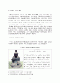 [보고서]불상의 중생구원 이미지와 의미(14세기 금동보살상을 중심으로) 3페이지