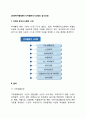 [사회복지행정론] 다차원분석시스템의 실시과정 2페이지