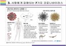 신종 코로나 바이러스 개념 종류 및 특징에 대하여 14페이지
