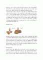성인간호학 폐기종(COPD) case 3페이지