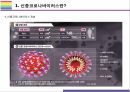신종 코로나19  바이러스 발생현황 및 국가별 대응방안 5페이지