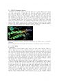 생화학 과제 - 단백질과 질병의 상관관계 5페이지