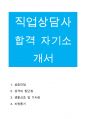 서울시일자리포털 직업상담사 합격자소서 1페이지