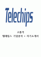 텔레칩스 기업분석 + 합격자기소개서 1페이지