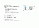 생명과학1 개념 요약 정리 2페이지
