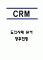 CRM 도입효과와 도입사례 분석 / CRM 개념과 등장배경 / CRM 향후전망 1페이지