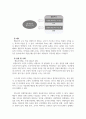 영유아교수방법론_구성주의, 행동주의 입장에서 교사 역할의 차이점을 기술하시오. 5페이지