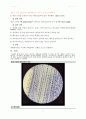실험 10주차_체세포분열의 관찰 결과 Report 7페이지