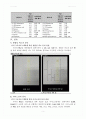 실험 9주차_종이 클로마토그래피에 의한 물질 분리 결과 Report 5페이지