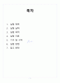 [A+] Transformation 예비레포트 2페이지