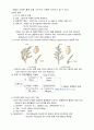 식용작물학 1 (중간과제물)2020년 2학기 4페이지
