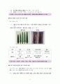 한국사 Ⅰ단원(전근대 한국사의 이해) 핵심 정리 및 출제 예상 문제 제시 2페이지